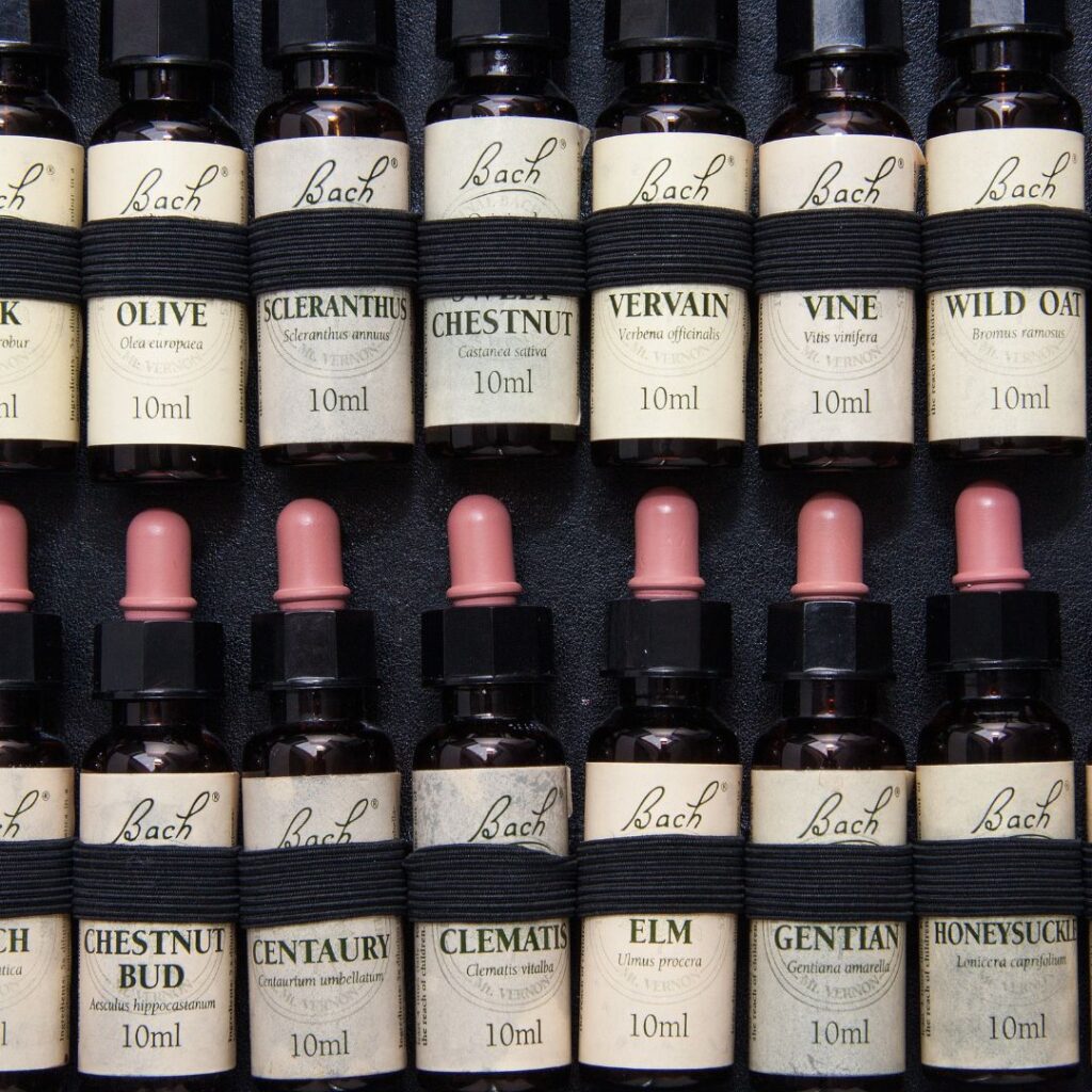 Florais de Bach - O que são e quais florais para estudantes devo escolher?